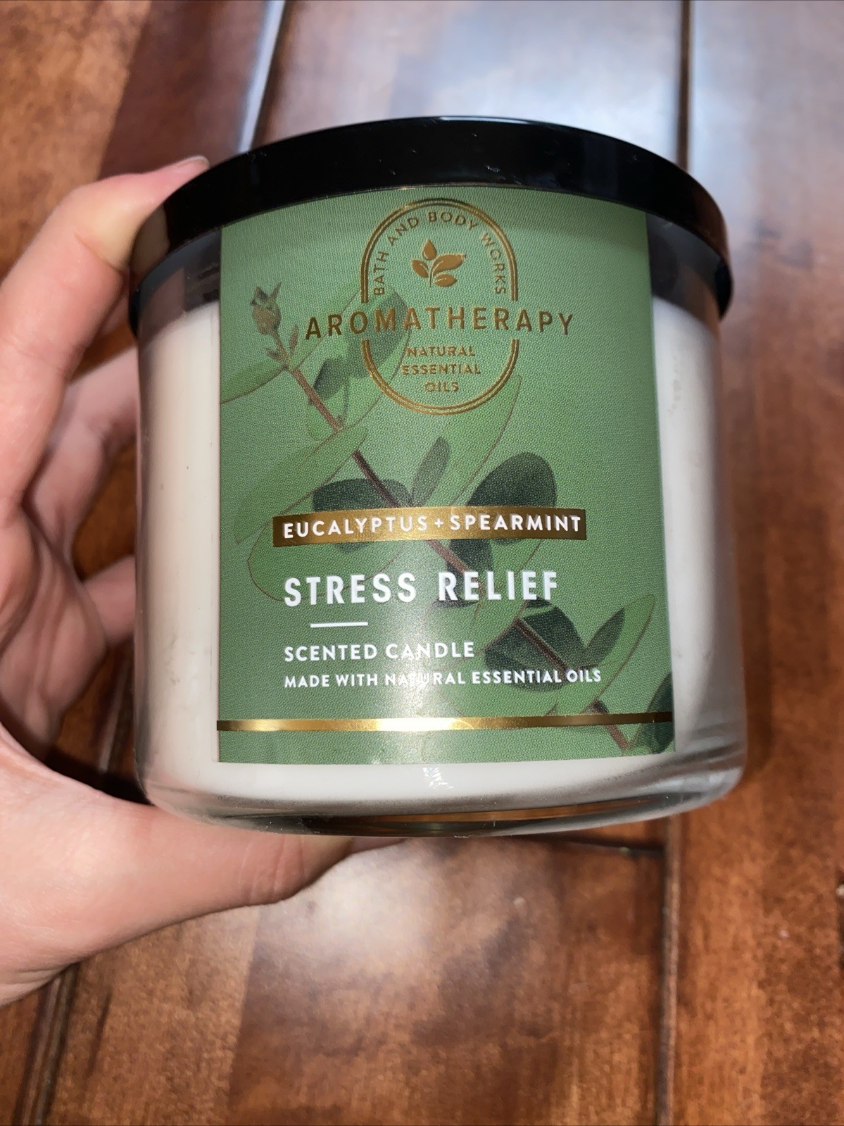 Bath & Body Works Eucalyptus Spearmint aromatic 6-piece Set Gift