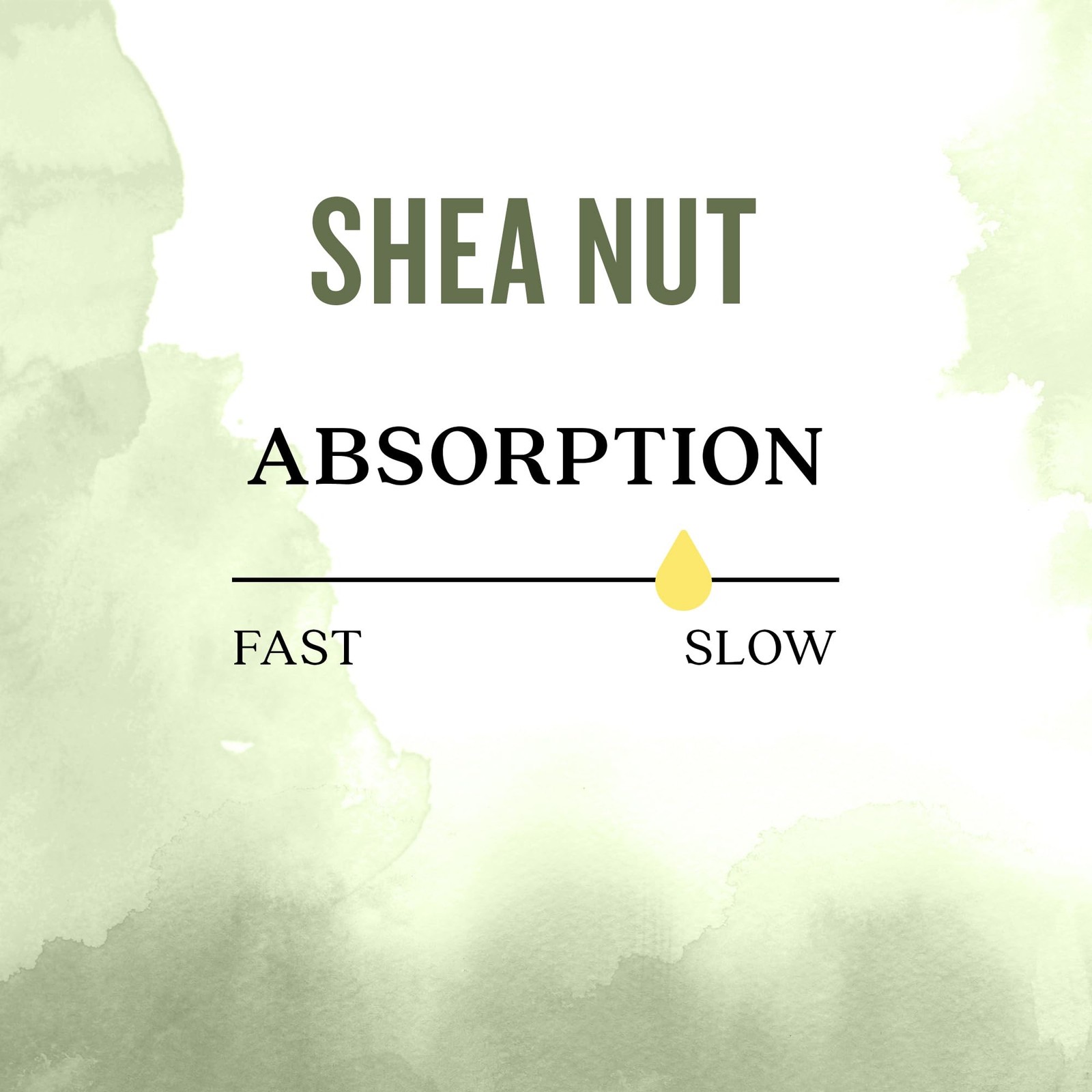 Organic Nourishing Shea Nut Oil | Certified Organic | 4 fl oz.