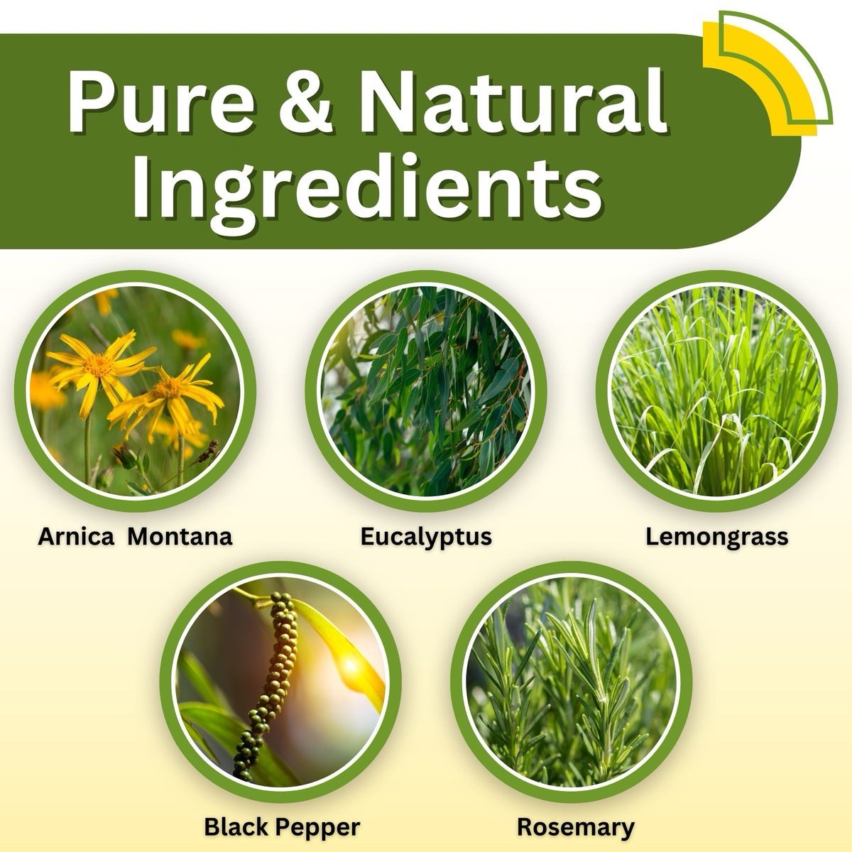 Relief Arnica Cream – Enriched with Lemongrass Eucalyptus & Rosemary 8oz